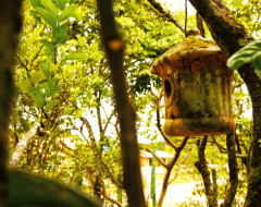 Natureza