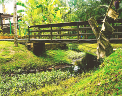 Natureza