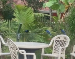 Natureza