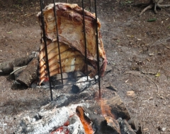Churrascos na floresta